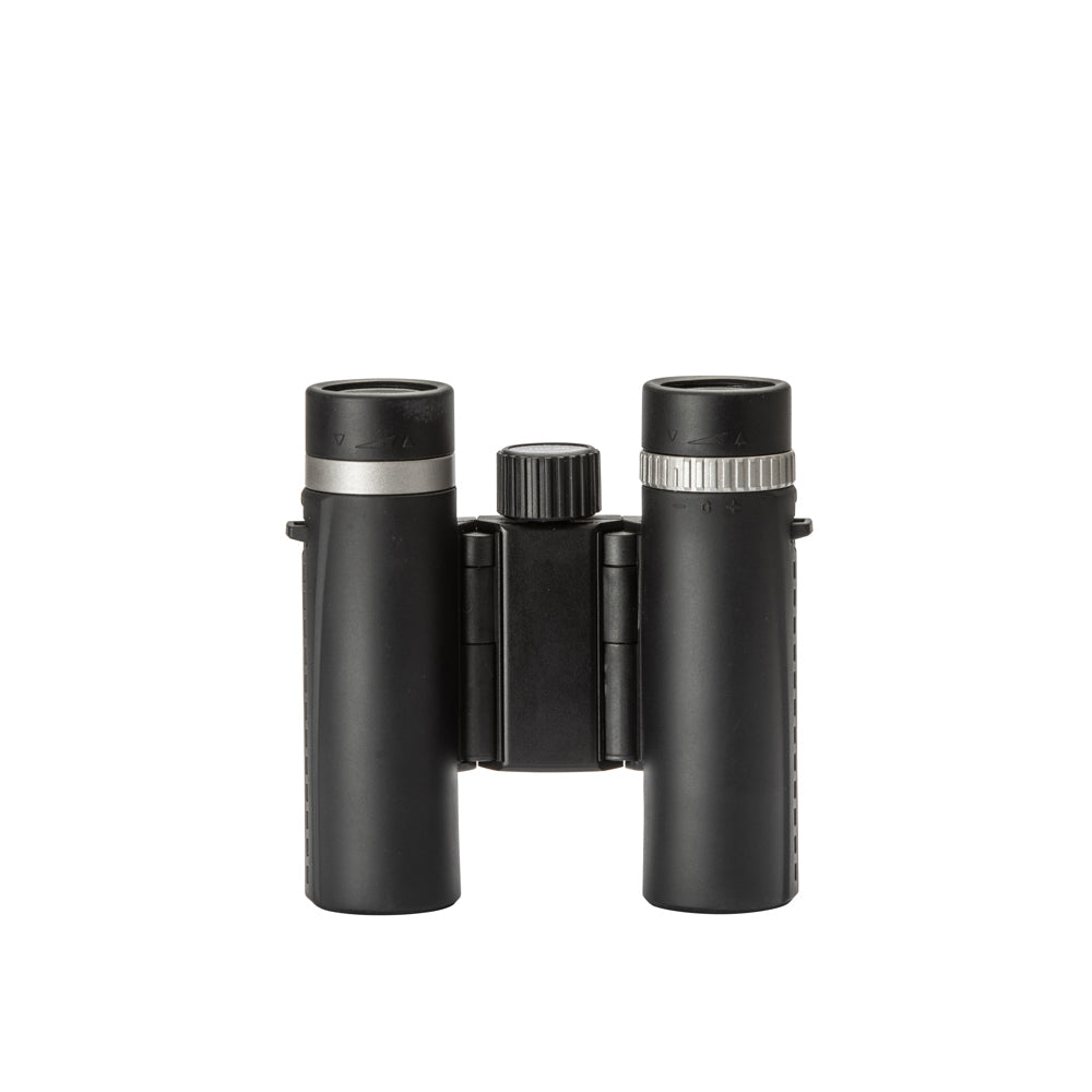 Bynolyt Lark 10x25