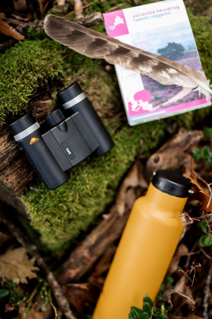 Bynolyt Lark in het bos